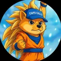 Capitalist🧢資本家