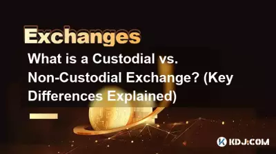 什么是托管交易所与非托管交易所? (主要差异解释) 什么是托管交易所与非托管交易所? (主要差异解释)