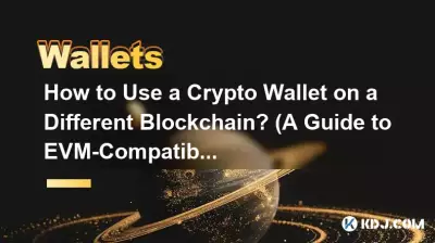 Comment utiliser un portefeuille crypto sur une autre blockchain ? (Un guide des chaînes compatibles EVM)