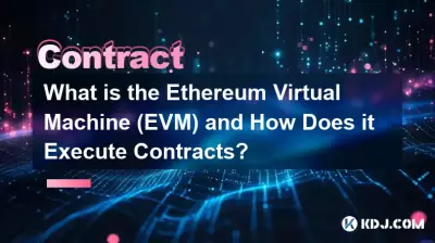 Was ist die Ethereum Virtual Machine (EVM) und wie führt sie Verträge aus?
