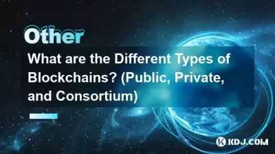Was sind die verschiedenen Arten von Blockchains? (Öffentlich, privat und Konsortium)