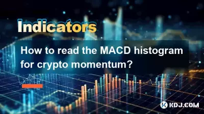 Wie liest man das MACD-Histogramm für Krypto-Momentum?