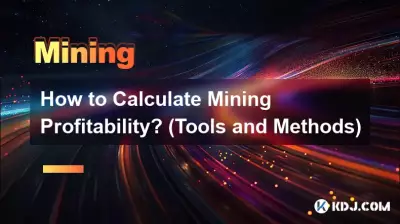 Wie berechnet man die Rentabilität des Bergbaus? (Werkzeuge und Methoden)