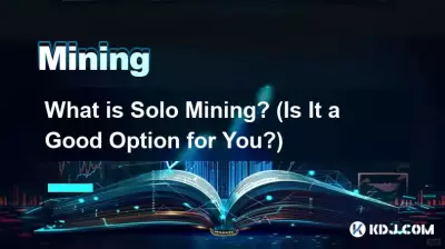Was ist Solo-Mining? (Ist es eine gute Option für Sie?)