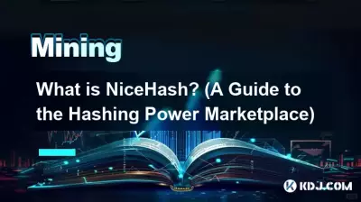 Was ist NiceHash? (Ein Leitfaden zum Hashing Power Marketplace)
