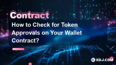 Wie prüfen Sie, ob Ihr Wallet-Vertrag Token-Genehmigungen enthält?