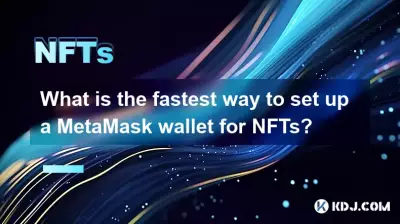 NFT용 MetaMask 지갑을 설정하는 가장 빠른 방법은 무엇입니까?