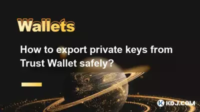 如何安全地从 Trust Wallet 导出私钥？