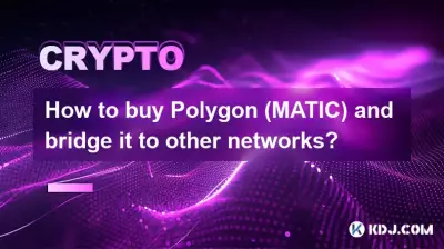 如何購買 Polygon (MATIC) 並將其橋接到其他網絡？