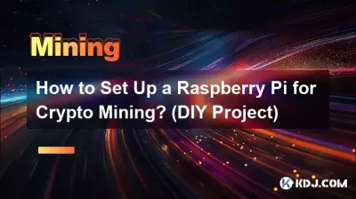 如何设置 Raspberry Pi 进行加密货币挖矿？ （DIY项目）