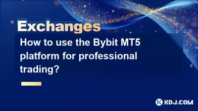 How to use the Bybit MT5 platform for professional trading?
