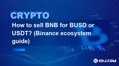 BUSD 또는 USDT로 BNB를 판매하는 방법은 무엇입니까? (바이낸스 생태계 가이드)