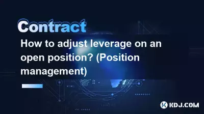 Wie passt man den Hebel einer offenen Position an? (Positionsmanagement)