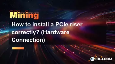PCIe 라이저를 올바르게 설치하는 방법은 무엇입니까? (하드웨어 연결)