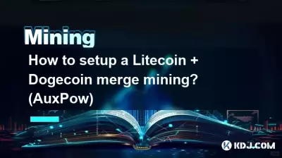 Litecoin + Bitcoin코인 병합 채굴을 설정하는 방법은 무엇입니까? (보조파우)