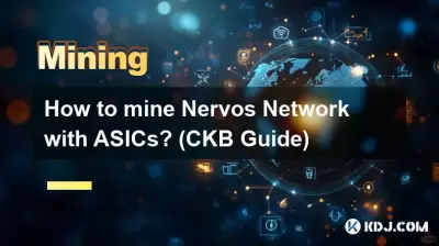 如何使用 ASIC 挖矿 Nervos 网络？ （CKB 指南）