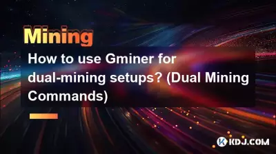 如何使用Gminer进行双挖设置？ （双挖矿命令）