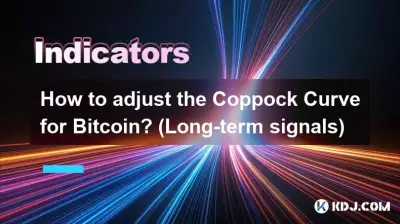 Wie passt man die Coppock-Kurve für Bitcoin an? (Langzeitsignale)