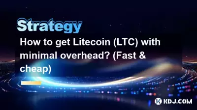 How to get Litecoin (LTC) with minimal overhead? (Fast & cheap)