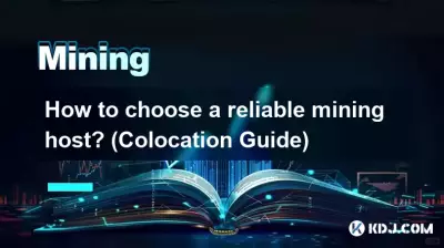 Comment choisir un hébergeur minier fiable ? (Guide de colocalisation)