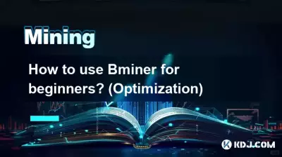 Comment utiliser Bminer pour les débutants ? (Optimisation)