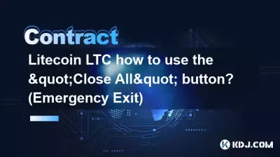 Litecoin LTC how to use the 