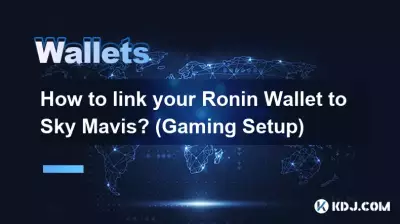 如何将 Ronin 钱包与 Sky Mavis 关联？ （游戏设置）