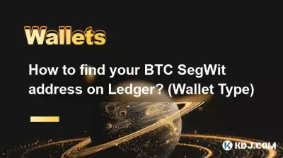 Ledger で BTC SegWit アドレスを見つけるにはどうすればよいですか? (ウォレットタイプ)