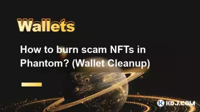 Wie brenne ich betrügerische NFTs in Phantom? (Wallet-Bereinigung)