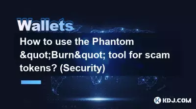사기 토큰에 Phantom "Burn" 도구를 사용하는 방법은 무엇입니까? (보안) 사기 토큰에 Phantom "Burn" 도구를 사용하는 방법은 무엇입니까? (보안)