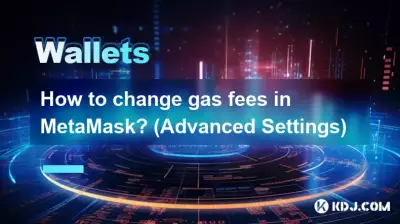 How to change gas fees in MetaMask? (Advanced Settings)