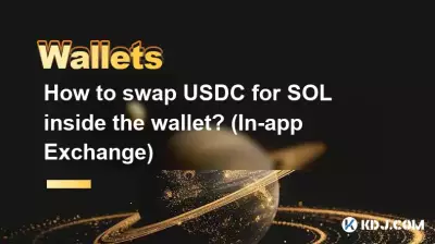 如何在钱包内将USDC兑换成SOL？ （应用内交换）