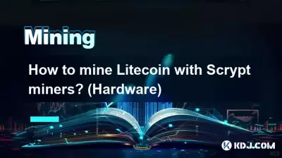Scrypt 채굴기로 Litecoin을 채굴하는 방법은 무엇입니까? (하드웨어)