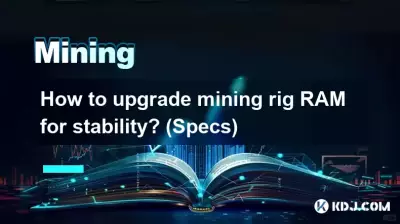 Wie kann man den RAM eines Mining-Rigs aufrüsten, um die Stabilität zu erhöhen? (Spezifikationen)