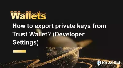 如何从 Trust Wallet 导出私钥？ （开发者设置）