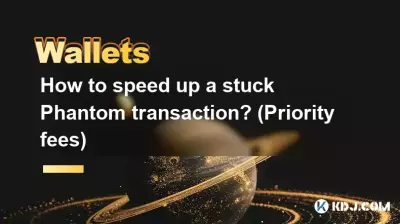 如何加速卡住的 Phantom 交易？ （优先收费）