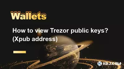 Trezor 공개 키를 보는 방법은 무엇입니까? (Xpub 주소)