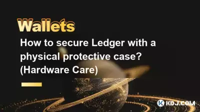 如何用物理保护套保护Ledger？ （硬件保养）