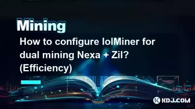 如何配置lolMiner进行Nexa + Zil双挖？ （效率）