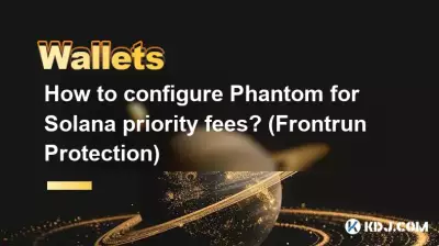 Wie konfiguriere ich Phantom für Solana-Prioritätsgebühren? (Frontrun-Schutz)