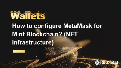 Mint 블록체인용 MetaMask를 구성하는 방법은 무엇입니까? (NFT 인프라)