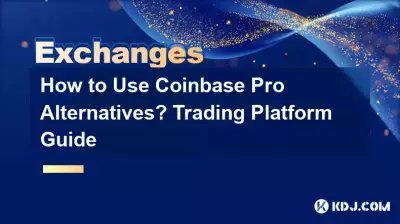 如何使用 Coinbase Pro 替代品？交易平台指南