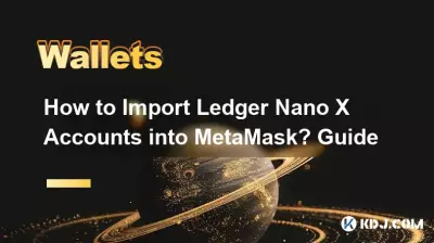 How to Import Ledger Nano X Accounts into MetaMask? Guide