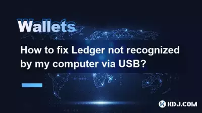 Wie kann ich das Problem beheben, dass Ledger von meinem Computer über USB nicht erkannt wird?
