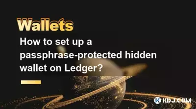 如何在 Ledger 上设置受密码保护的隐藏钱包？
