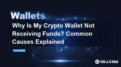 Why Is My Crypto Wallet Not Receiving Funds? Common Causes Explained Why Is My Crypto Wallet Not Receiving Funds? Common Causes Explained