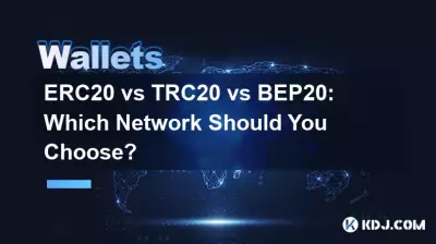 ERC20 vs TRC20 vs BEP20: Which Network Should You Choose? ERC20 vs TRC20 vs BEP20: Which Network Should You Choose?