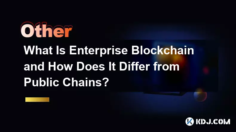 What Is Enterprise Blockchain and How Does It Differ from Public Chains?