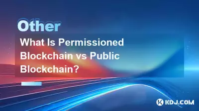 What Is Permissioned Blockchain vs Public Blockchain?