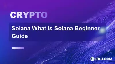 Solana What Is Solana Beginner Guide Solana What Is Solana Beginner Guide